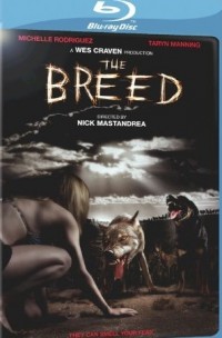 Krutá rasa (Breed, The, 2006)