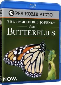 Nova: The Incredible Journey of the Butterflies (2009)
