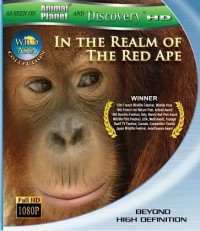Wild Asia: In the Realm of the Red Ape (2009)