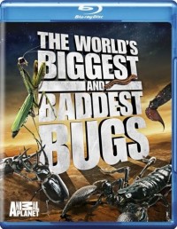 World's Biggest and Baddest Bugs, The (2008)