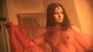 Bollywood Nudes (2009)