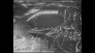 Cesta na Měsíc (Voyage dans la Lune, 1902)