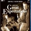 Nadějné vyhlídky (Great Expectations, 1946)