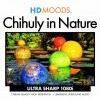 HD Moods: Chihuly in Nature (2009)