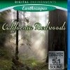 Living Landscapes: California Redwoods (2007)