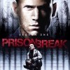 Útěk z vězení - 1. sezóna (Prison Break: Season One, 2005)