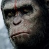TRAILER: Úsvit Planety opic láká na střet dvou světů