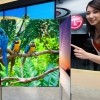 Ultimátní televizor: LG chystá ohebný a průhledný 60&quot; OLED s rozlišením 4k