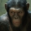 Zrození planety opic proběhne i na Blu-ray