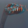 Monstra oceánů 3D: Pravěké dobrodružství (recenze Blu-ray)