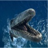 Vyhrajte 3D film na Blu-ray - Monstra oceánů