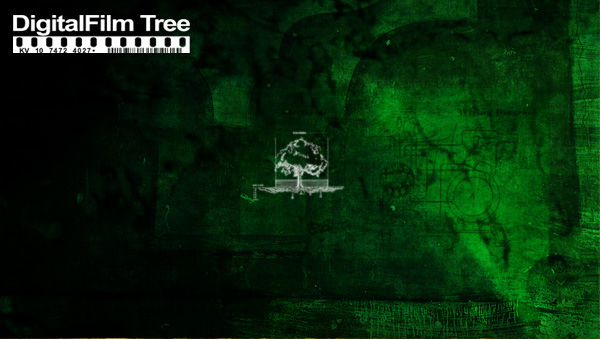 DigitalFilm Tree - logo