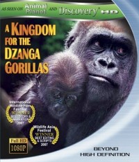 Kingdom for the Dzanga Gorillas, A (2009)