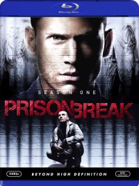 Útěk z vězení - 1. sezóna (Prison Break: Season One, 2005)