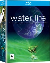 Water Life (2009)