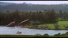 Jurský park - trilogie (Jurassic Park Trilogy, 1993)