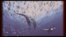 Monstra oceánů 3D: Pravěké dobrodružství (Sea Monsters 3D: A Prehistoric Adventure, 2007)