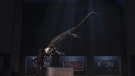 Sea Rex: Výprava do časů dinosaurů (Sea Rex: Journey to a Prehistoric World, 2010)
