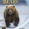 Medvědi (Bears, 2001)