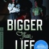 Bigger Than Life (1956)