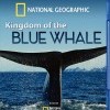 Kingdom of the Blue Whale (2008)