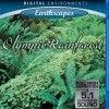 Living Landscapes: Olympic Rainforest (2007)