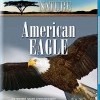 Nature: American Eagle (2009)