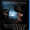 Bratrstvo vlků - Hon na bestii / Bratrstvo vlků (Pacte des loups, Le / Brotherhood of the Wolf, 2001)