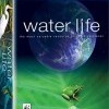 Water Life (2009)
