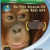 Wild Asia: In the Realm of the Red Ape (2009)
