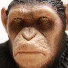 EDICE ROKU: Sběratelská kolekce Planety opic s bustou Cézara je skvost! (foto a zhodnocení)