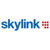 Skylink hlásí milion aktivních dekódovacích karet