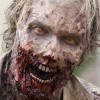 Walking Dead čeká pátá série na Blu-ray. Nikoli však v Česku