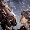 Válečný kůň přikluše na Blu-ray